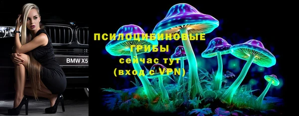 синтетический гашиш Гусь-Хрустальный