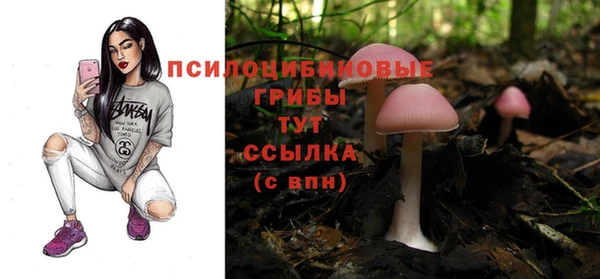 синтетический гашиш Гусь-Хрустальный