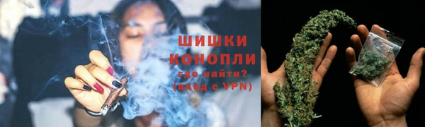 трава Гусев