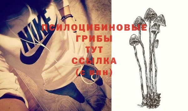 синтетический гашиш Гусь-Хрустальный