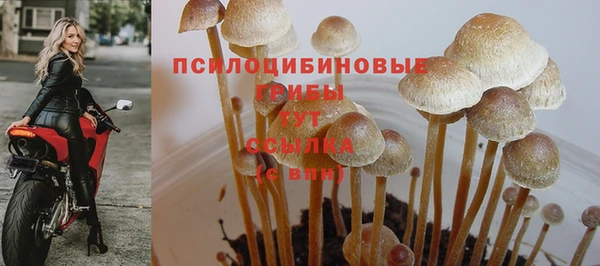 трава Гусев