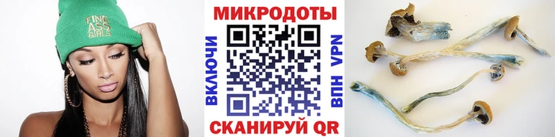 Псилоцибиновые грибы прущие грибы  Купить  Миньяр 
